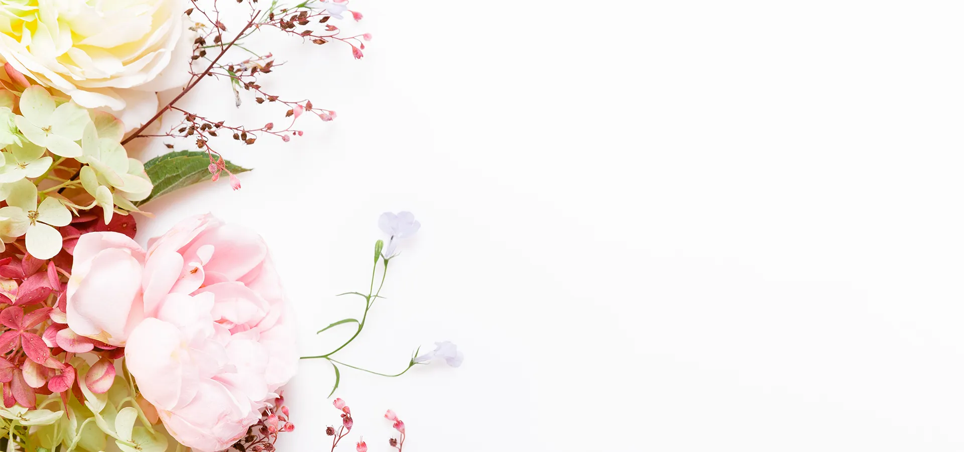 株式会社いずみ花園 メインビジュアル